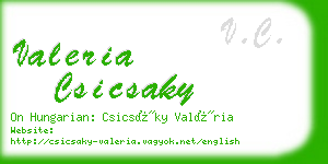 valeria csicsaky business card